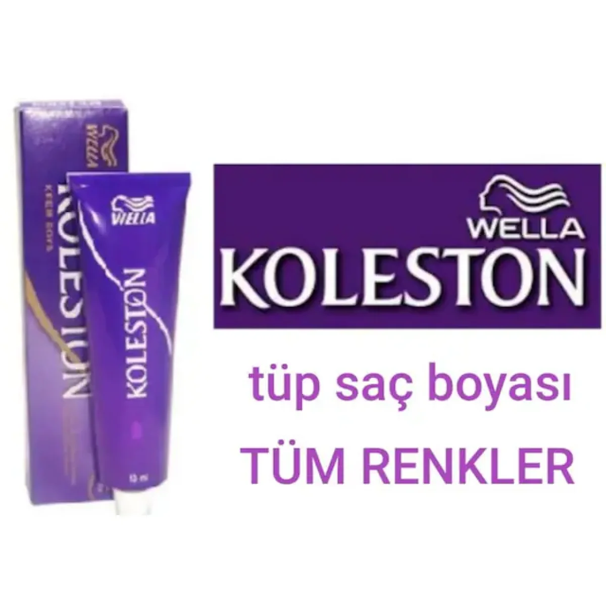Koleston Tüp Boya  Çeşitleri
